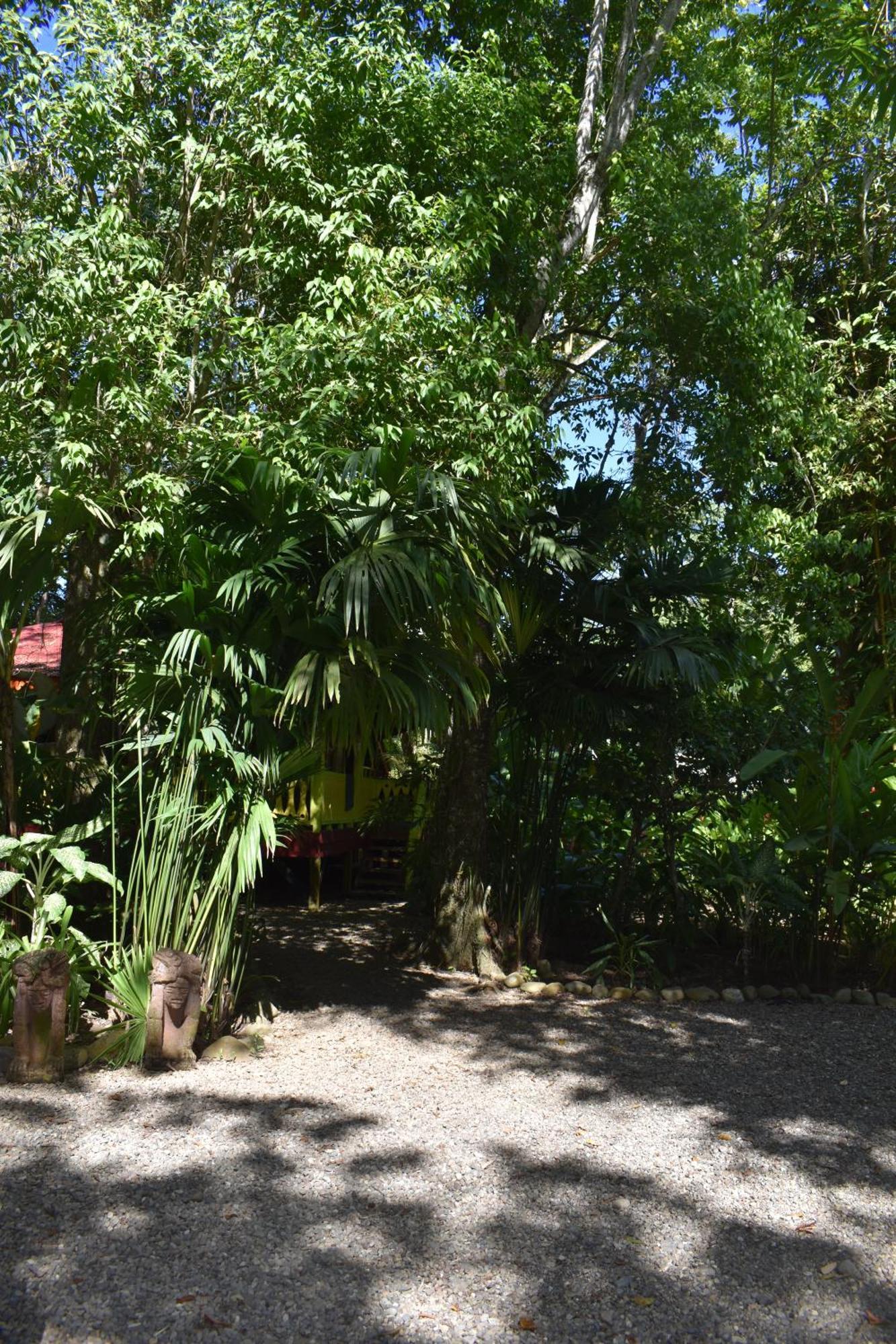 Ferienhaus El Jardin De Playa Negra