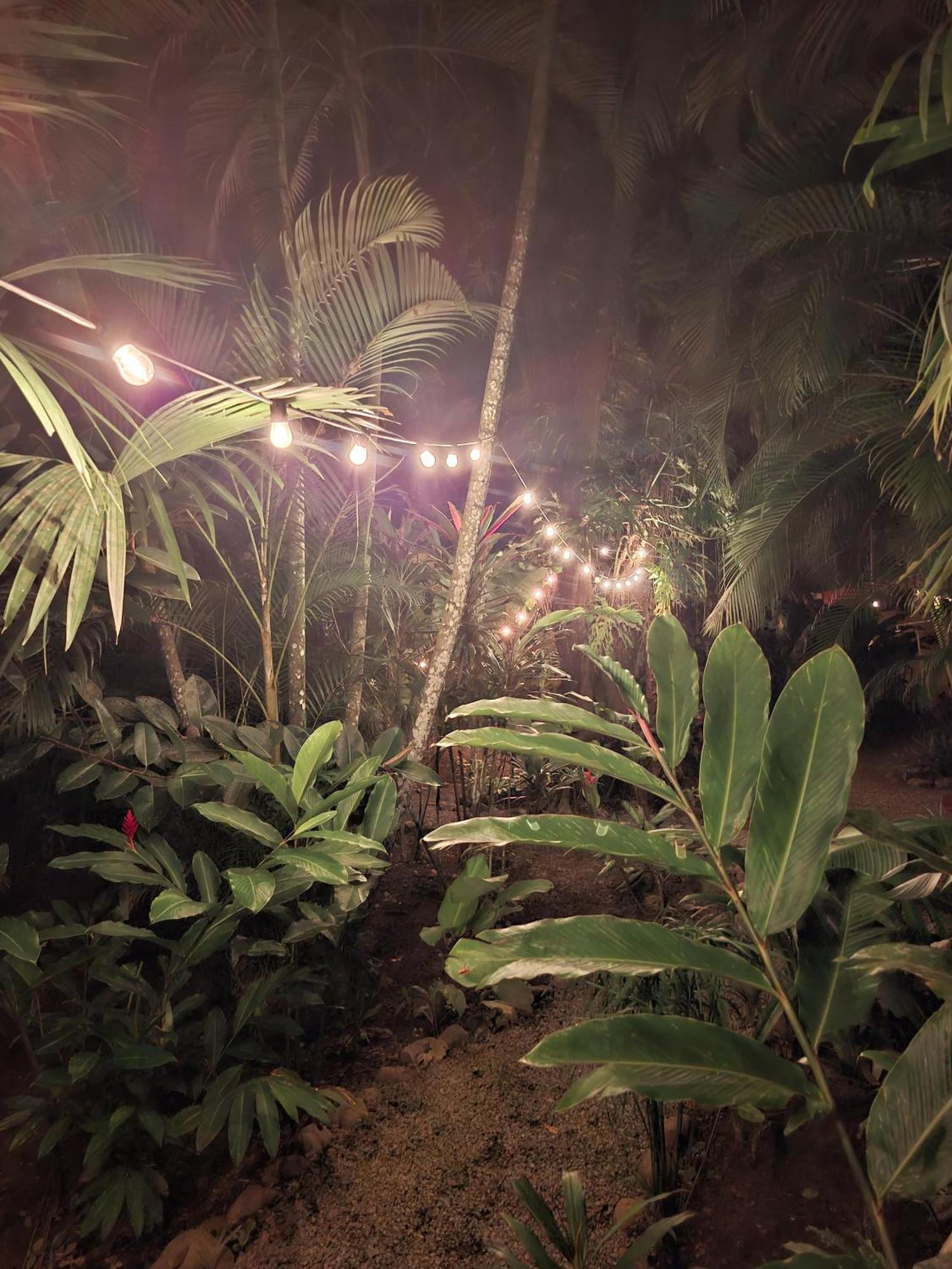 Ferienhaus El Jardin De Playa Negra *