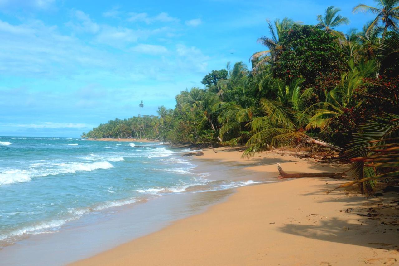 El Jardin De Playa Negra * Puerto Viejo de Talamanca